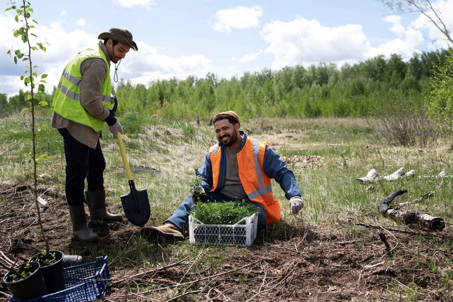 Best Tree Clearing Services  in Forsyth, MO